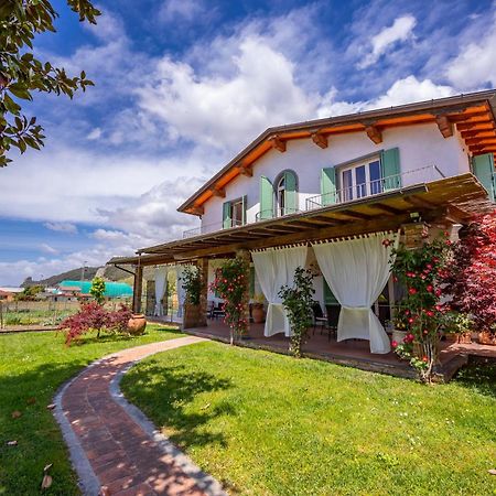 Villa Clara Few Km From The Sea - Happy Rentals ピエトラサンタ エクステリア 写真
